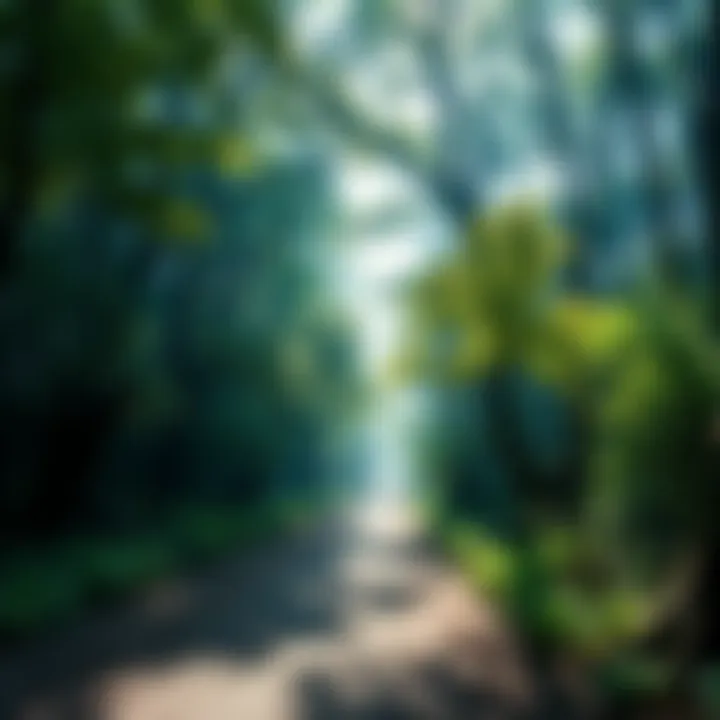 A serene pathway lined with vibrant green trees and unique plants in the Abyssal Woods.