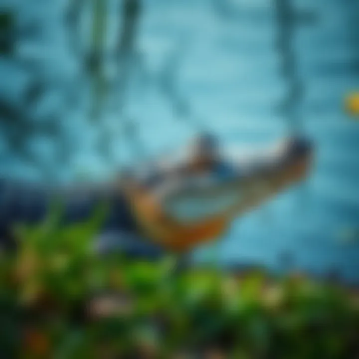 An alligator resting near a body of water in its natural habitat