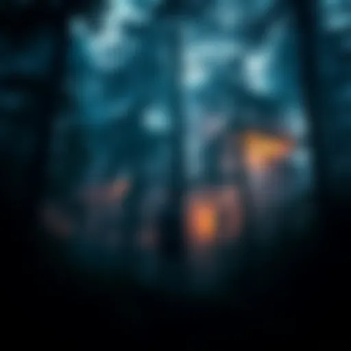 A person stands at the edge of a dense forest, looking into the dark and shadowy trees of Area X, with a sense of curiosity and wonder.