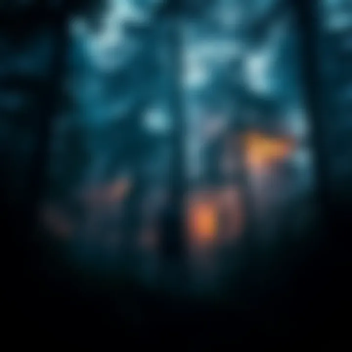 A person stands at the edge of a dense forest, looking into the dark and shadowy trees of Area X, with a sense of curiosity and wonder.