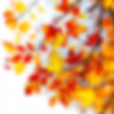 Colorful autumn drawing featuring vibrant leaves and nature elements