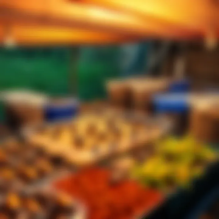 Beetle Farming Setup A well-organized beetle farm with containers and natural habitat elements for beetles