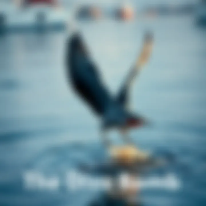 Bird diving towards water A bird plunging into water, illustrating the dive bomb effect on ecosystems