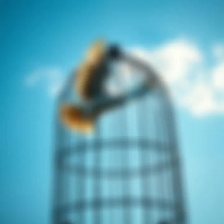 Breaking Free: The Symbolism of Cage Escape : LevelUpTalk