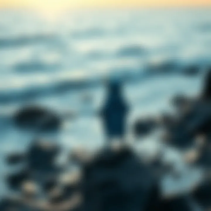 A character resembling a prince stands on a rocky beach, gazing out at the waves, symbolizing reflection and an open journey.