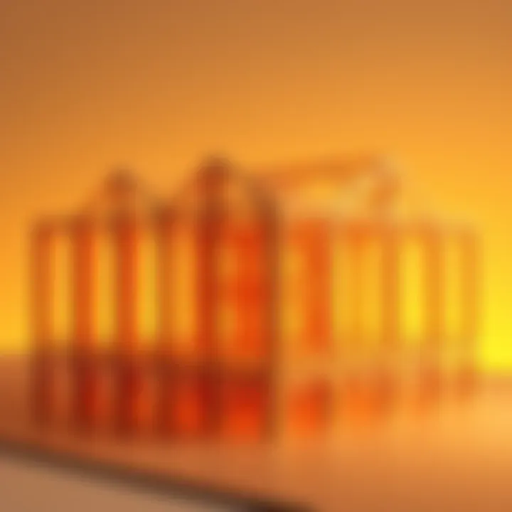 Bone Frame Structure in Architecture An architectural model showcasing a bone frame structure with cross beams and supports, highlighting its innovative design