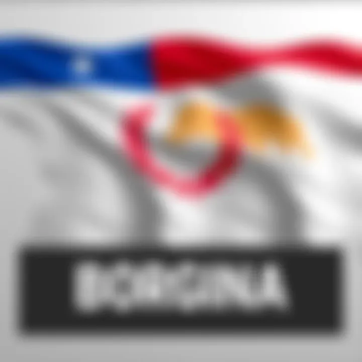 The proposed flag and map design for the Republic of Borginia, showcasing its colors and symbols