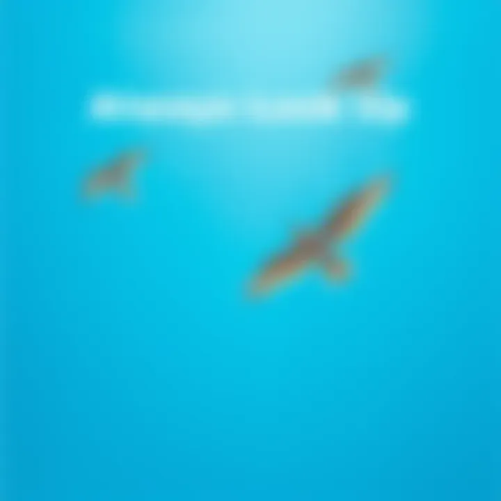 A clear blue sky with birds soaring high, symbolizing hope and inspiration