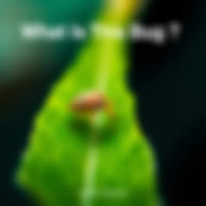 A detailed view of a small bug sitting on a green leaf, highlighting its features and colors.