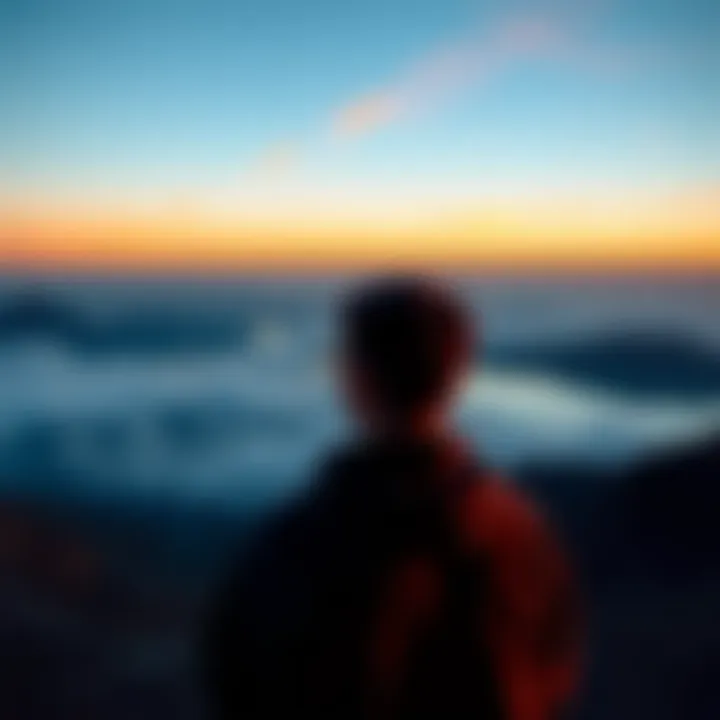 A person looking thoughtfully at a horizon, symbolizing reflection on career achievements and future goals.