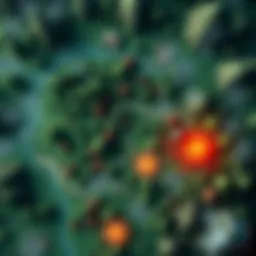A detailed overview of the Castor Woods map highlighting the explorable areas for players.