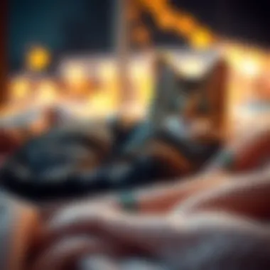 A cozy cat lounging on a soft blanket, providing warmth and comfort during cold weather.