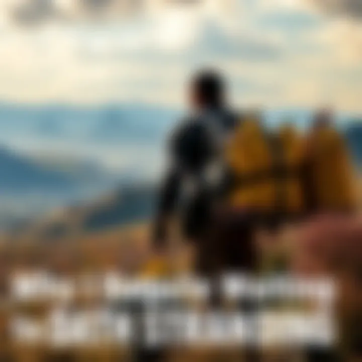 A character in rugged terrain, carrying supplies on their back, surrounded by beautiful landscapes and distant mountains, highlighting the journey aspect of the game.