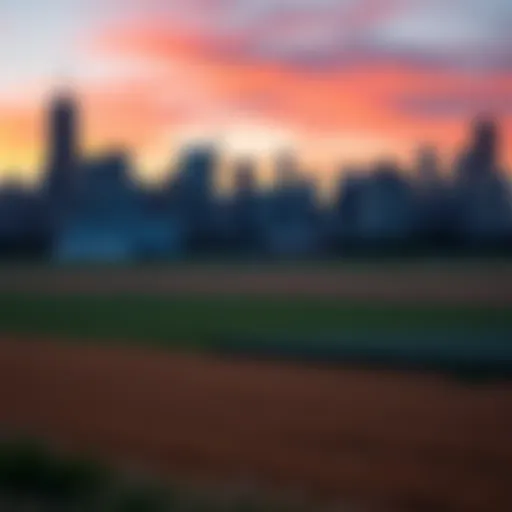 A view of the Chicago skyline from the late 1960s with nearby farmland showcasing crops