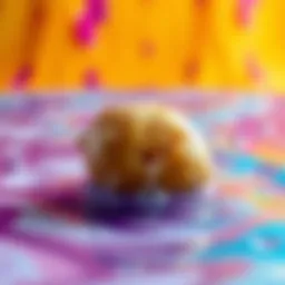 Chonky Water-Potato A quirky, round potato with a water-like sheen resting on a colorful background, symbolizing the Chonky water-potato trend.