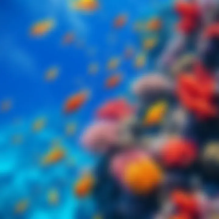 A vibrant coral reef filled with various sea creatures swimming through clear blue water.