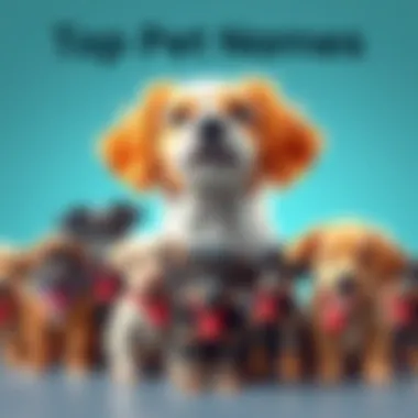 Various pets with name tags showing popular pet names