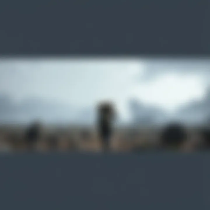 A character from Death Stranding carrying cargo while walking through a lonely, rocky terrain with a foggy sky overhead.