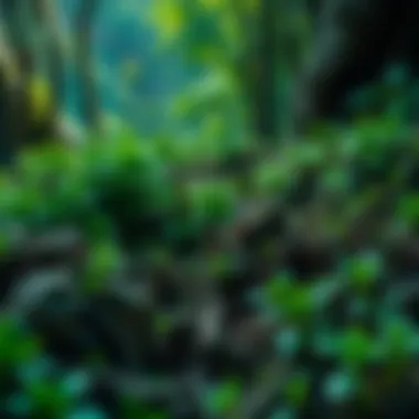 A lush, green landscape where decaying plants give way to new growth, symbolizing the cycle of life and renewal.