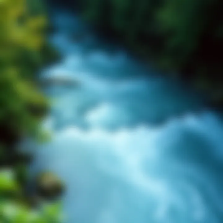 Distributary Flow A flowing distributary river surrounded by lush greenery, illustrating natural water shapes affected by human activity