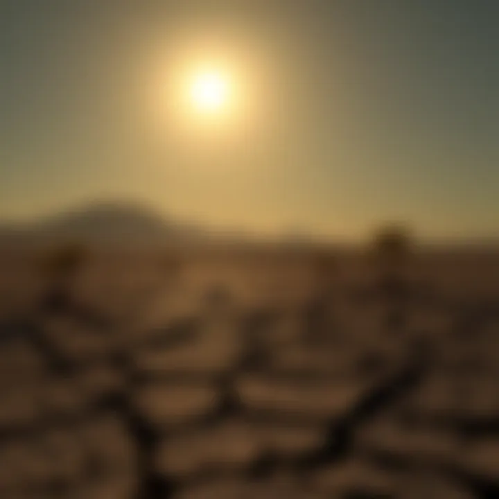 A barren landscape showing cracked earth under a bright, harsh sun, signifying the aftermath of ecological disaster. Sparse plant life struggles to grow, symbolizing the challenge of restoring life.
