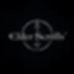 The Elder Scrolls logo on a dark background with a fantasy theme