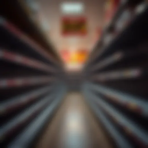 A grocery store aisle with empty shelves and price tags reflecting high prices