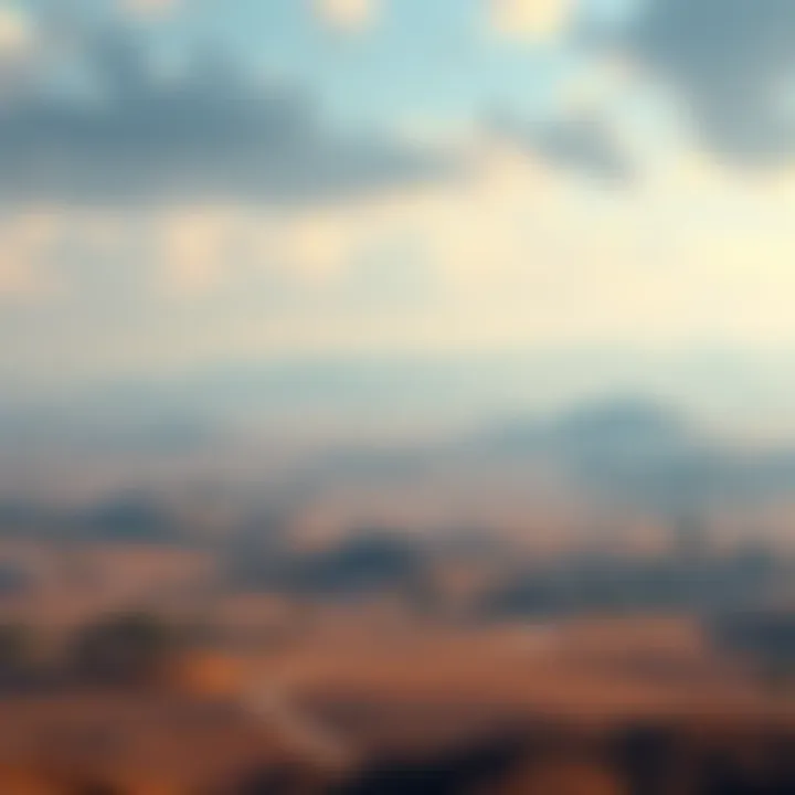 Empty Erangel Map A vast and empty landscape of the Erangel map, showcasing few buildings and sparse trees, reflecting the sense of loneliness in gameplay.