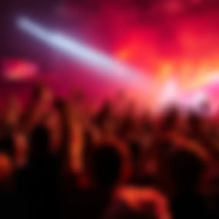 A lively crowd cheering and celebrating at a music concert, showing enthusiasm and excitement