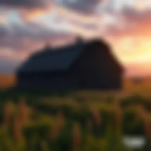 Ongoing fan art depicting the farm scene from TLOU2 with lush fields and a rustic barn