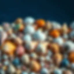 Various types of shells displayed together, showcasing their unique colors and designs, symbolizing people's favorites and personal stories behind them.