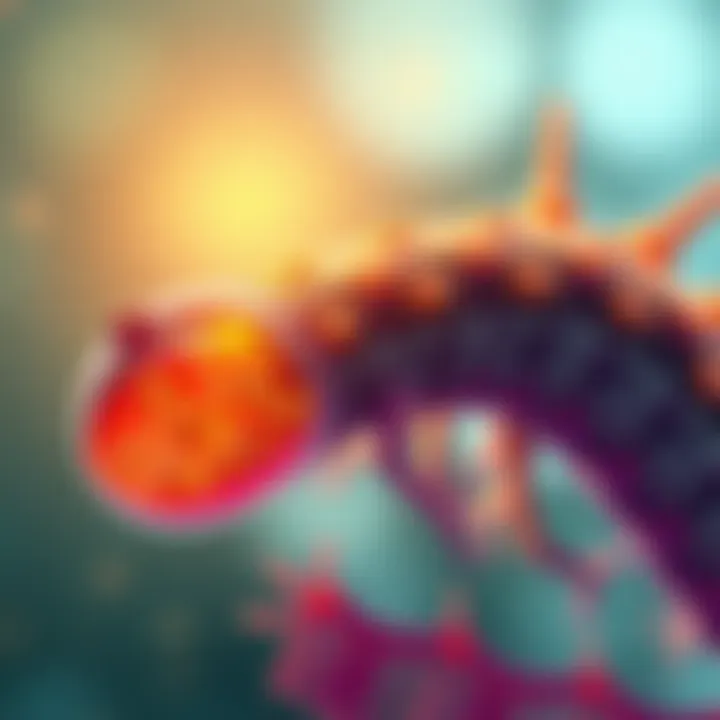 Illustration showing how Helminths feed, highlighting satiety meters and appetite decay concepts