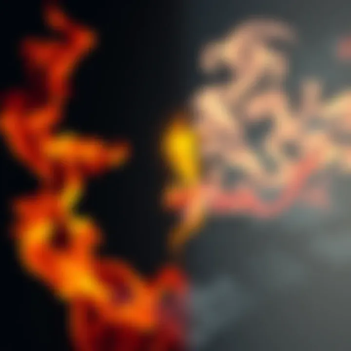 A vivid illustration showing a roaring flame on one side and wisps of smoke floating away on the other, symbolizing the duality of power and transience in life.