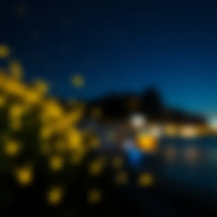 A close-up of glowing fireflies in a dark environment, with Catalina Island's blurred silhouette in the background.