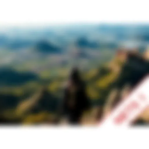 A gamer exploring a vast open world in Assassin's Creed, featuring stunning views and detailed landscapes.