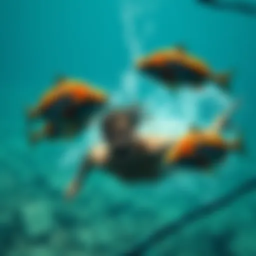A swimmer in the ocean surprised by fish swimming close and smacking against them.