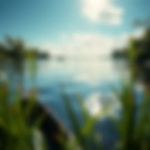 A serene fishing spot at Sabine Lake, showcasing calm waters and surrounding greenery.