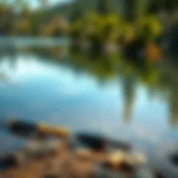 A peaceful lake with a fishing rod resting on the shore, surrounded by trees and clear water.