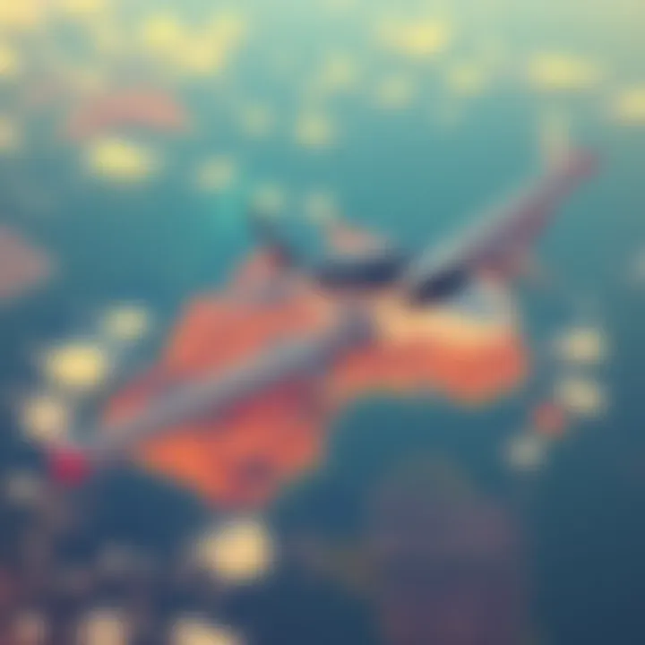 A plane soaring above the beautiful Australian scenery in Microsoft Flight Simulator 2024 World Update 21.