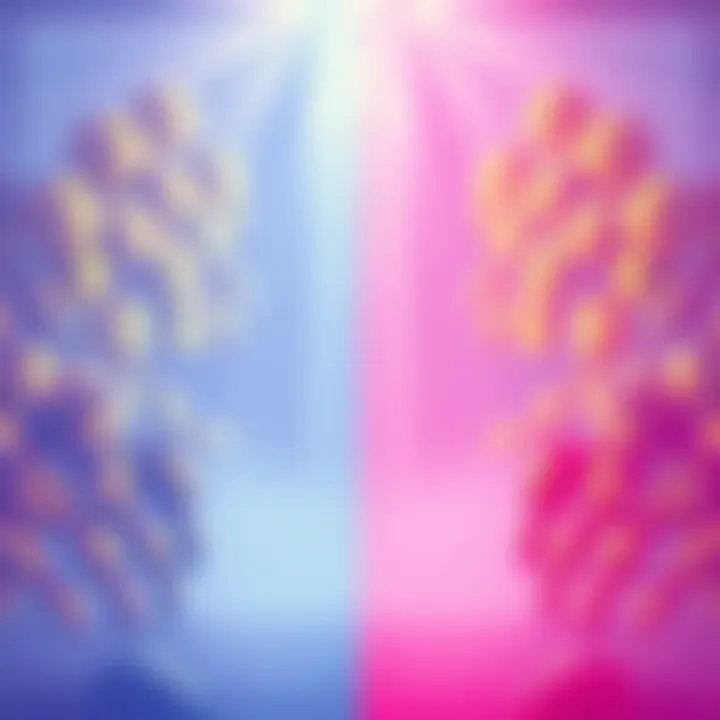 A comparison of visual quality before and after the recent increase in graphical fidelity to 47%, showcasing clearer textures and vibrant colors.