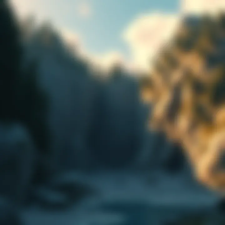 A view of Hackett's Quarry showing a wide open pit mine with rocky terrain and dense trees around it.