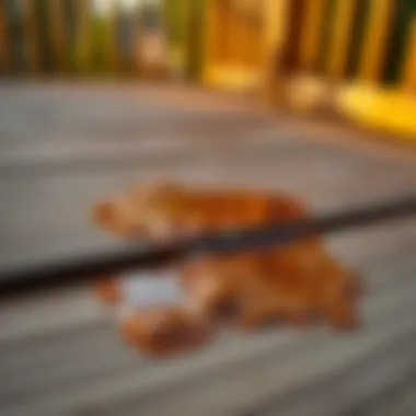 Close-up of a strange, sticky substance on a wooden deck caused by hand sanitizer