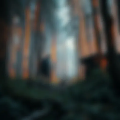 A character resembling a Houndmaster exploring a dense forest while accompanied by a dog.