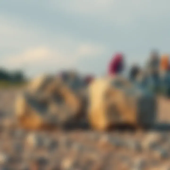 Two identical stones lying next to each other, capturing the attention of curious onlookers.