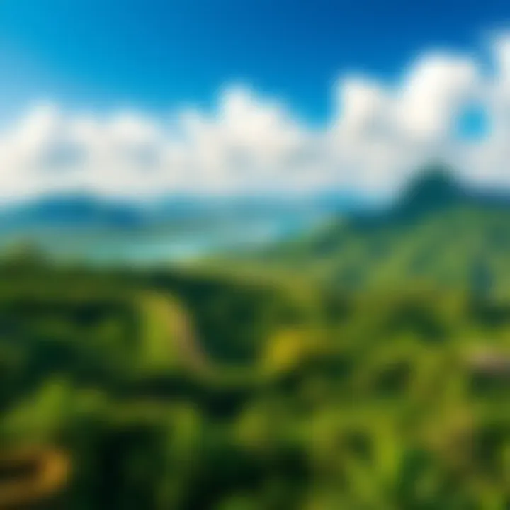 A beautiful landscape of Iki Island with lush greenery and clear skies, showcasing the serene environment.