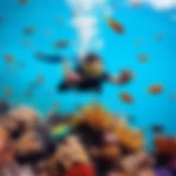 Ishowspeed swims underwater exploring colorful fish and coral reefs in Grenada