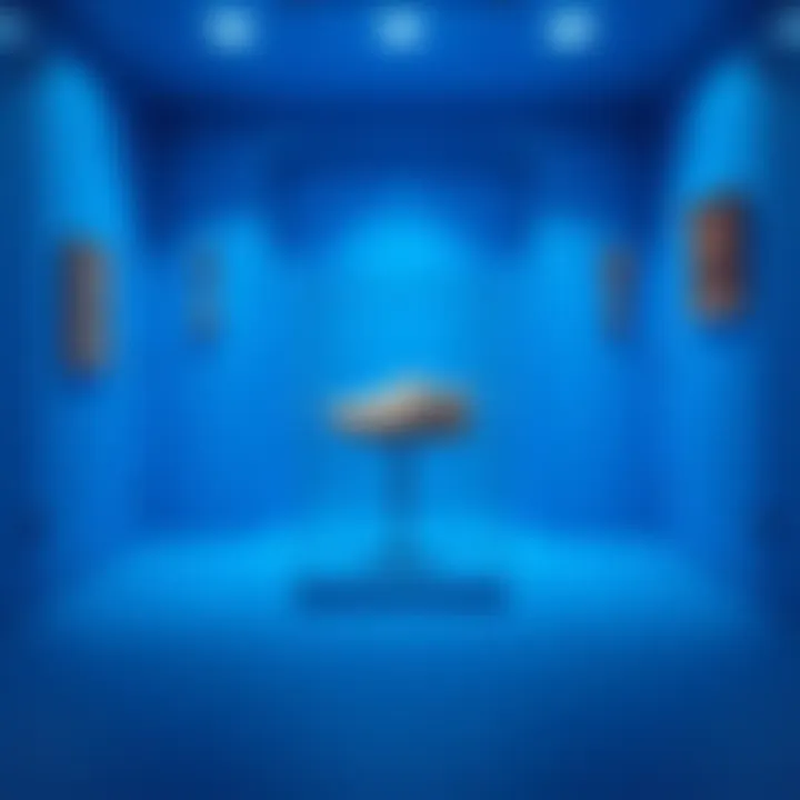 An intriguing item displayed in a blue room, highlighting its unique characteristics and details.