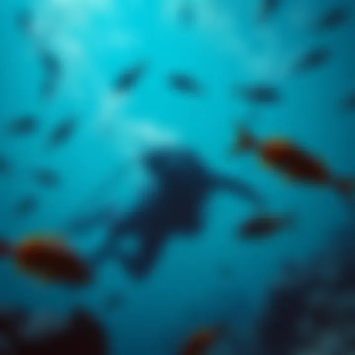 A somber underwater scene depicting Kunkka, a diver, surrounded by marine life, highlighting the beauty and danger of the ocean.