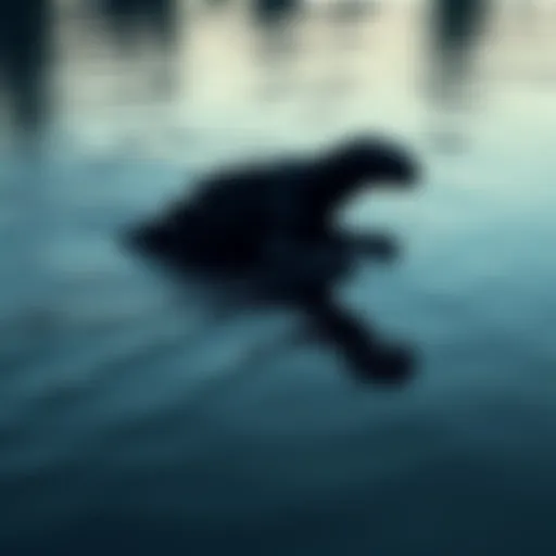 Lake Monster Swimming A large, shadowy figure in a lake, resembling a mythical creature, with ripples on the surface