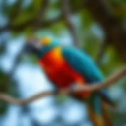 Lenny the parrot perched on a tree branch, showing his bright feathers and playful personality.